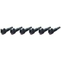 IP Coil for BMW 135i/335i/535i N54 Turbo SKU:IP-A122609