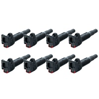 IP Coil for BMW X5/M6/X6/X6M S63 N63 SKU:IP-A122809