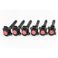 IP Coil for Porsche 996T,997T earlier model up to 2009 SKU:IP-A142601