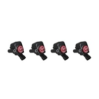 IP Coil for FIAT Abarth 500 European Model SKU:IP-A147401