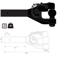 TAG Combo Pintle Hook with Receiver (6T)