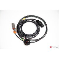 CAN to Keypad and C12* Dash Loom