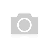 Raceworks NPT Male 1/16'' To Male Flare Stainless Steel 1/16" NPT RWF-380-04-01SS