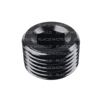Raceworks NPT Plug 1/8'' Stainless  RWF-932-02SS