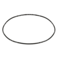 Raceworks Replacement O-Ring For ALY-083BK  RWM-006