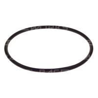 Raceworks Replacement O-Ring For Raceworks Fuel Filters  RWM-007