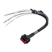 MXS Strada 23 pin harness