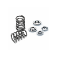 Supertech SPRK-H1000D/1FZ Dual Valve Spring Kit for Toyota 1FZ-FE