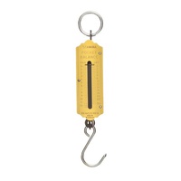 TOLEDO Spring Scale - 23kg 100B
