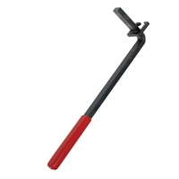 TOLEDO Valve Lifter Bleed Tool Ford V8