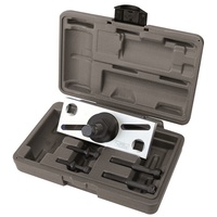 TOLEDO Pulley Puller Camshaft 304100