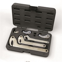 TOLEDO Adjustable C-Hook Wrench Set