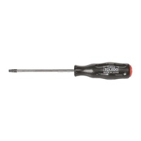 TOLEDO Tamperproof Torx T30 x 125mm