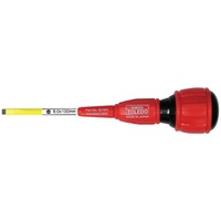 TOLEDO Elec Strike-Thru Slotted 5.0 x 100mm