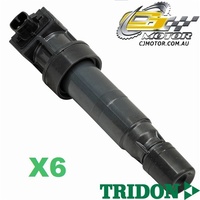 TRIDON IGNITION COIL x6 FOR Kia  Sorento BL 08/07-06/10, V6, 3.3L G6DA5 