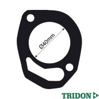 TRIDON Gasket For Jeep Renegade  01/81-12/84 4.2L 