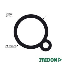 TRIDON Gasket For Mercedes 230 (E, TE) W123 11/76-01/86 2.3L M102, M115 TTG32