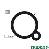 TRIDON Gasket For Mercedes 230 (E, TE) W124 02/86-01/93 2.3L M102 TTG32