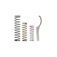 BOV RacePort Spring System