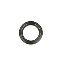 WG45 Inlet Weld Flange