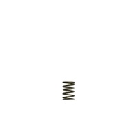 GenV WG38/40 3psi Black Inner Spring