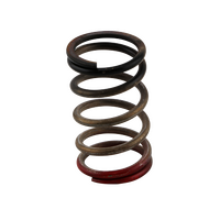 GenV WG HP 40psi Spring (Black/Red)
