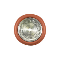 PSG CG Diaphragm replacement