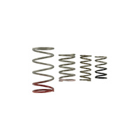 GenV IWG Spring Replacement Kit