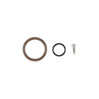 Oil Cap - LS O-Ring