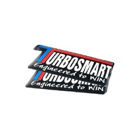 TS Car decal 350mm x 120mm-Black