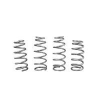 WHITELINE Lowering Springs - Tesla Model 3 - AWD