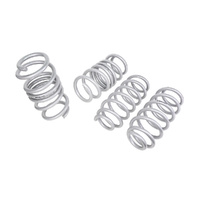 WHITELINE Lowering Springs - Tesla Model 3 - RWD