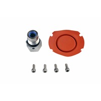 AEROMOTIVE Carbureted Regulator Service Kit(13007)