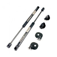 Ford Performance M-16826-MA Hood Strut Kit w/ Engraved Logo (Mustang GT/EcoBoost 2015+)