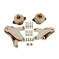 Ford Performance M-6038-M50 Motor Mounts (Mustang GT 2015+)