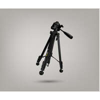 BIGBOI ILLUMR FLOOD TRIPOD