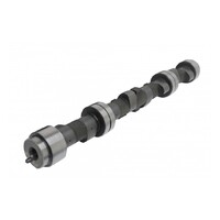 Kelford Cams 185-D Camshaft Set for (L-Series w/0.20mm Intake) - 304/304 Deg