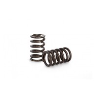 Kelford Cams KVS04 High Performance Valve Spring Set for (1FZ)