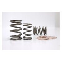 Kelford Cams KVS13D Valve Spring Set for (B18/B20B)