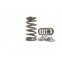 Kelford Cams KVS1847-BT High Performance Beehive Valve Spring & Titanium Retainer Kit for for (EJ20/25)