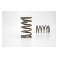 Kelford Cams KVS24 Valve Spring Set for (KA24DE/DET)