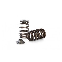 Kelford Cams KVS42-K Valve Spring and Titanium Retainer Set for (Ford 2000 OHC)