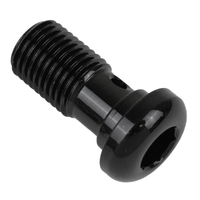 Proflow Black Allen Head Bolt M10 x 1.0 20mm Long