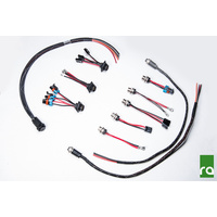 Radium Internal Bulkhead Harness, Triple Walbro F90000262 Pumps