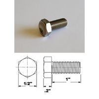5/16 UNC X 1" TITANIUM HEX BOLT GRADE 5