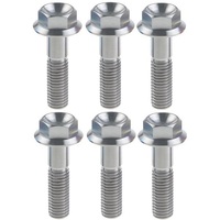 CHEVY LS SERIES GRADE 5 TITANIUM WATER PUMP BOLT KIT