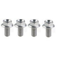 EVO 1 GRADE 5 TITANIUM RADIATOR BRACKET BOLT KIT