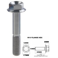 M10X65MM 1.25 THREAD PITCH TITANIUM FLANGE 12MM HEX BOLT GR 5