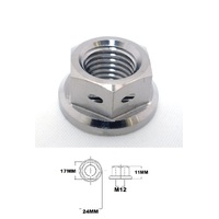 M12X1.25 THREAD TITANIUM RACE DRILLED FOR WIRE LOCK NUT BETWEEN