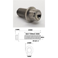 M14X20MM 1.5 THREAD PITCH TITANIUM 12 POINT FLANGE BOLT GRADE 5